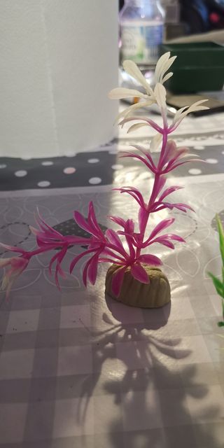 Conjunto de Plantas de plastico acuario