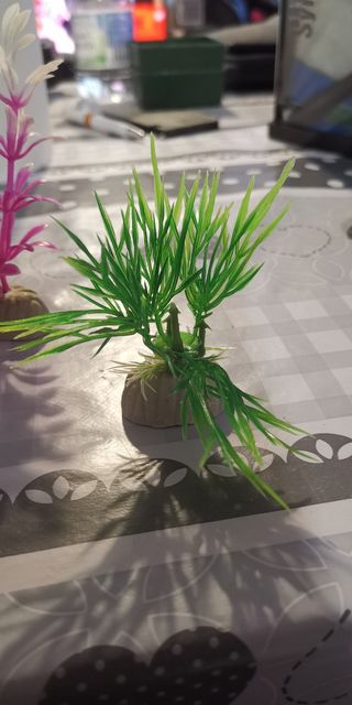 Conjunto de Plantas de plastico acuario