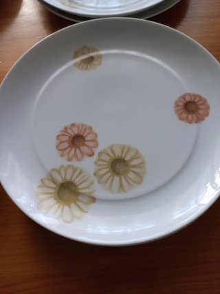 Platos bidasoa