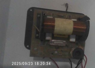 SELENIUM DT150 -8 oh-ALTAVOZ + filtro warfedale