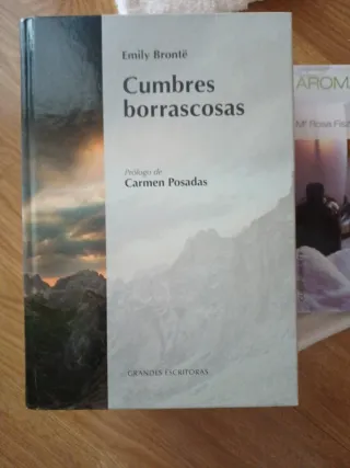 Libros lote Agatha Christie y otros autores