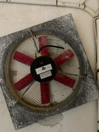 Ventilador electrico granja pollos 