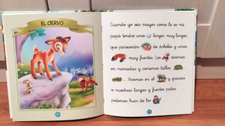 Lote 2 cuentos con pictogramas