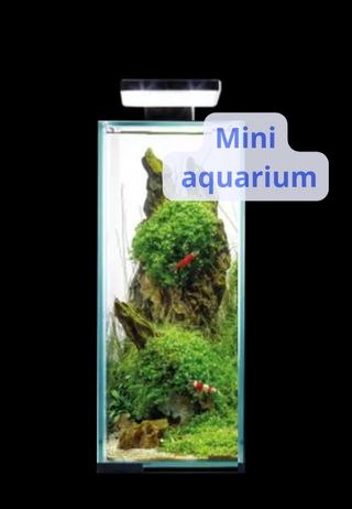 Mini acquario nano 