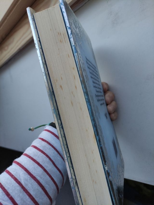 LA EMPERATRIZ DE LOS ETEREOS (Spanish Edition)