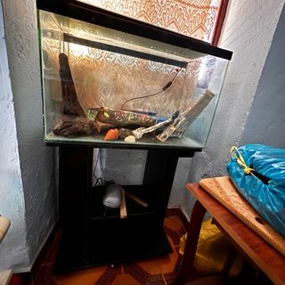 Pecera de 60 litro, mueble y accesorios