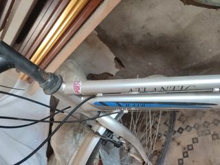 Bicicleta de paseo mujer