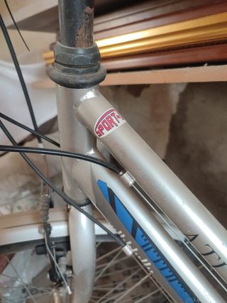 Bicicleta de paseo mujer