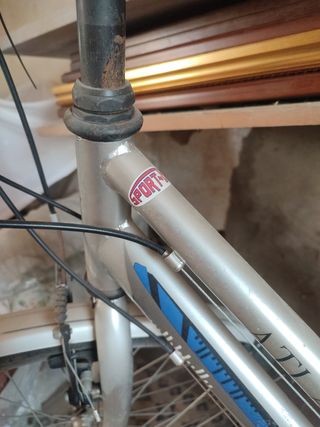 Bicicleta de paseo mujer