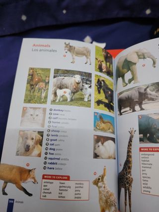 Diccionario Oxford Pocket: Esp-ing/Ing-esp 3rd Edition