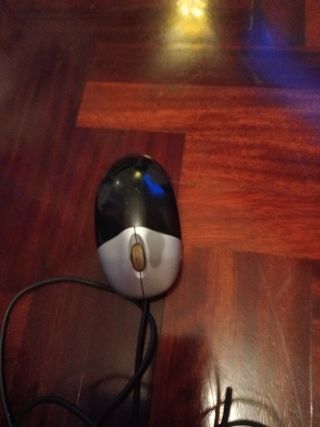 Ratón ordenador