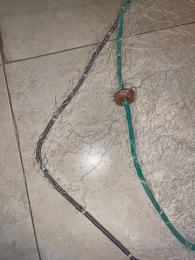 Trasmallo para langostino nuevos a estrenar