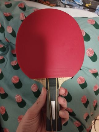 Pala ping-pong