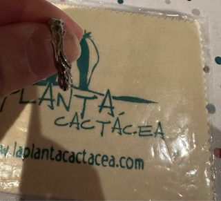 Anillos de La Planta Cactacea