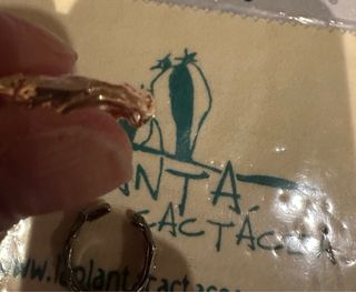Anillos de La Planta Cactacea