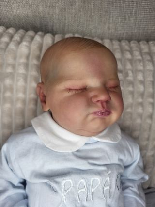 Bebe reborn muñeco