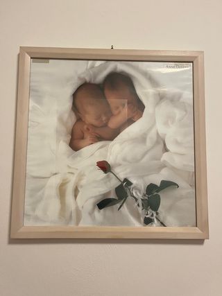 Quadro Anne Geddes(Stampa+cornice+vetro)