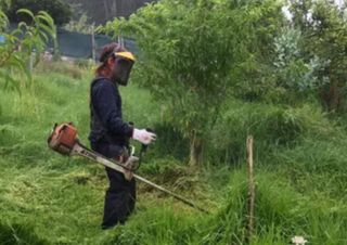 Mantenimiento de jardines