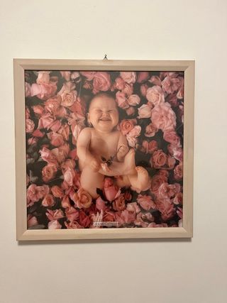 Quadro Anne Geddes:stampa+cornice+vetro)