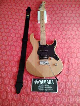 Guitarra eléctrica. 