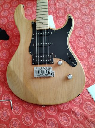 Guitarra eléctrica. 