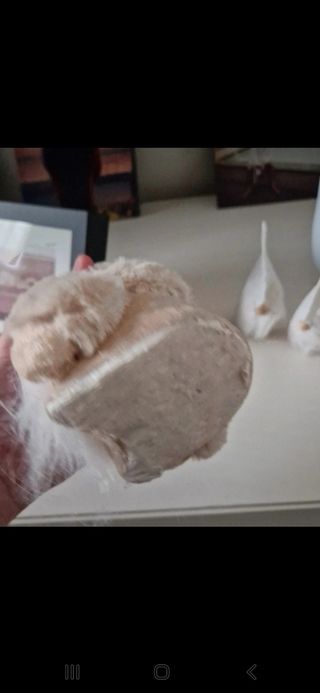 Decorazioni natalizie