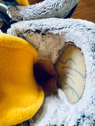 Botas esquí Salomon núm 36