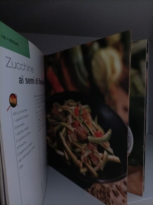 Wok. 100 ricette all'italiana