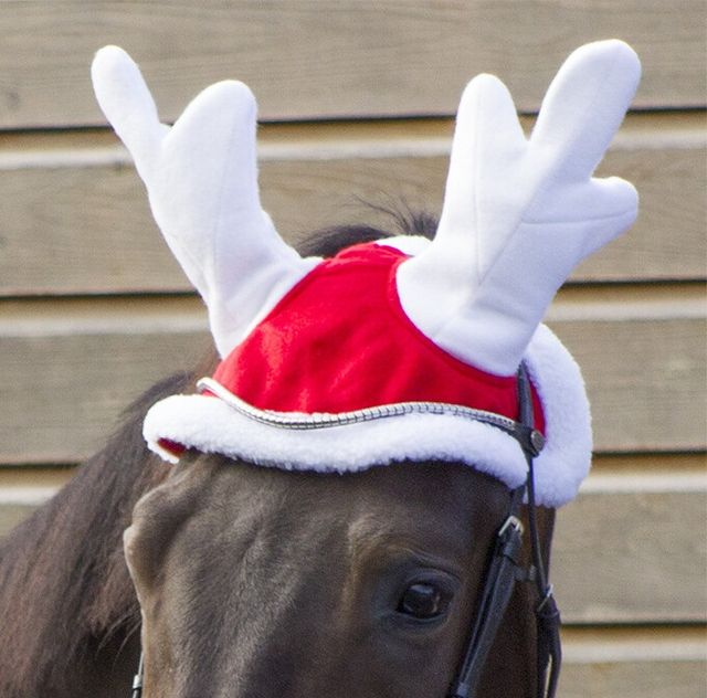 OREJERAS NAVIDEÑAS PARA CABALLO NUEVAS ENVIO RENO
