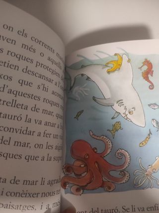 Les aventures de l'estrelleta de mar