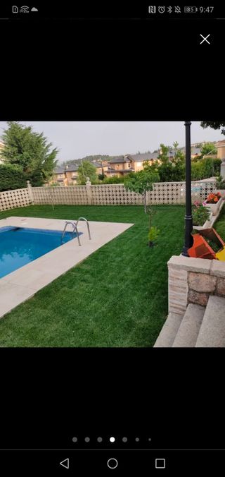 Servicio de jardinería
