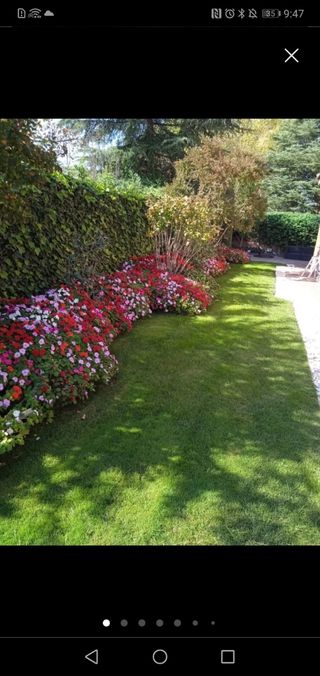Servicio de jardinería