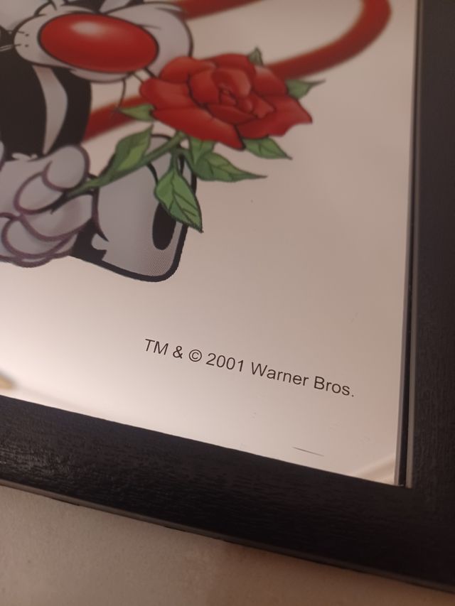 Quadretto Specchio Titti & Silvestro