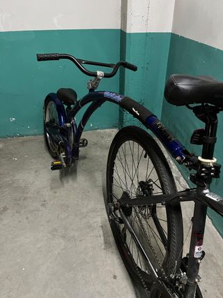 Remolque Bicileta Niño