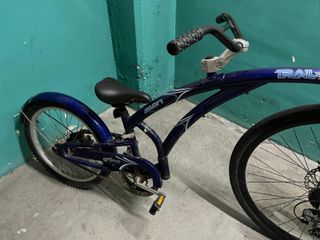 Remolque Bicileta Niño