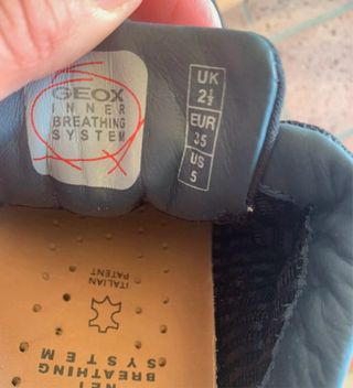 Snekaers cuero gris Geox numero 35