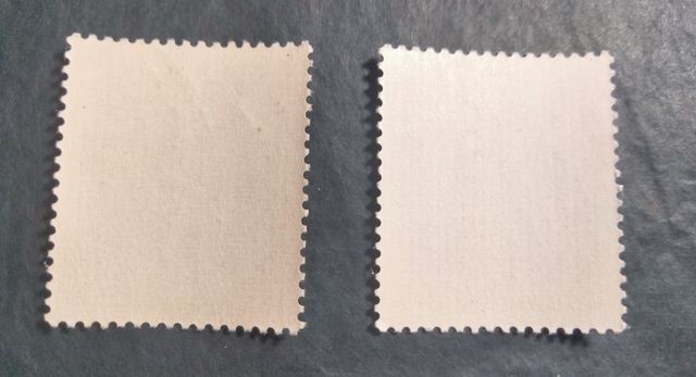 NUOVO EDIFICIO 1130/1131