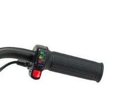 BICICLETA ELECTRICA INJUSA 12" 24V