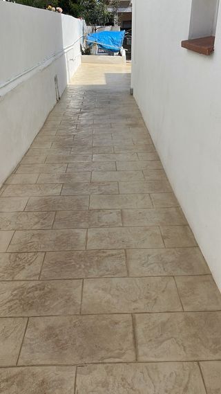 Vane 