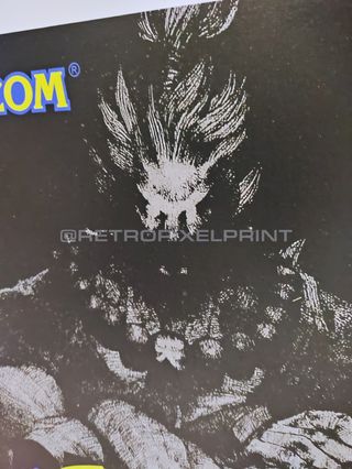 Cuadro SSF2X AKUMA