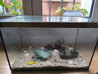 Acuario