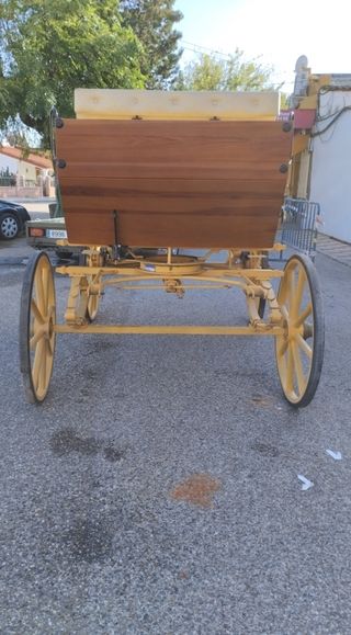 Ganga faeton 9 plazas perez cervera