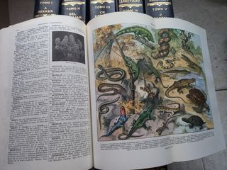 Diccionario enclopedico abreviado