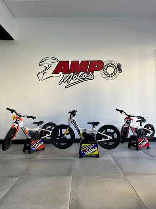 BICICLETAS ELECTRICA