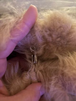 Abrigo de piel de mouton