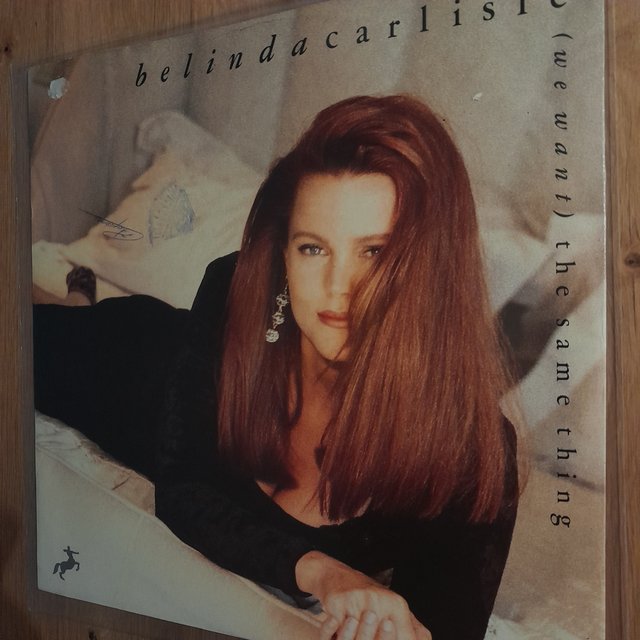 (We Want) The Same Thing - Belinda Carlisle