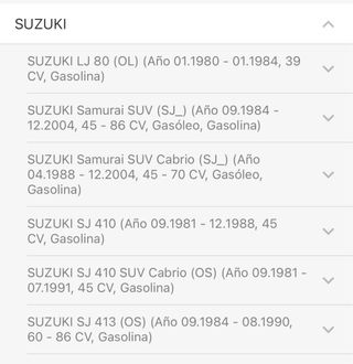 Amortiguadores delanteros Suzuki