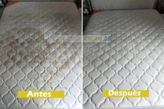 Limpieza de Sofás y Colchones