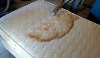Limpieza de Sofás y Colchones