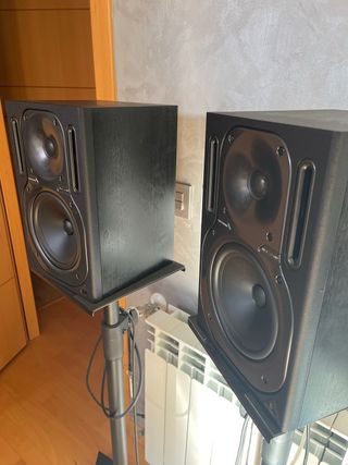 Monitores Behringer Truth B2030A